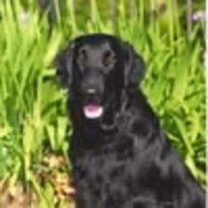 Meet your Posher, Joann